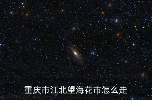 到重慶市江北區宏帆路花市，重慶市江北望海花市怎么走