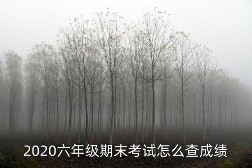 2020六年級期末考試怎么查成績