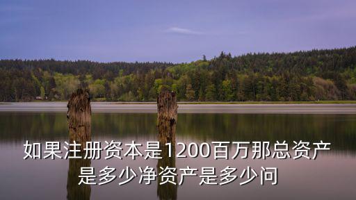 如果注冊資本是1200百萬那總資產是多少凈資產是多少問