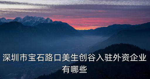 深圳市寶石路口美生創(chuàng)谷入駐外資企業(yè)有哪些