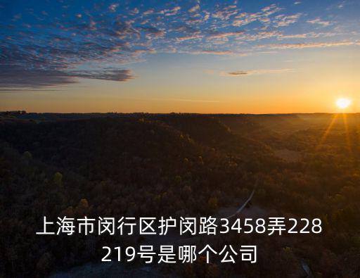 上海市閔行區(qū)護閔路3458弄228219號是哪個公司