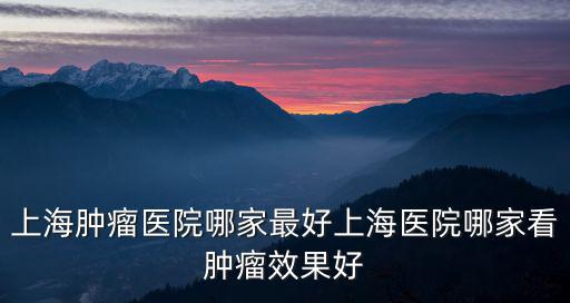 上海市腫瘤醫(yī)院疼痛科，上海看腫瘤醫(yī)院哪家好上海治療腫瘤的專科醫(yī)院是哪一家