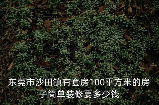 東莞市沙田鎮有套房100平方米的房子簡單裝修要多少錢