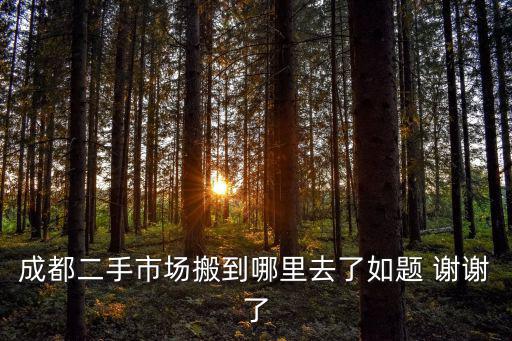 成都二手市場(chǎng)搬到哪里去了如題 謝謝了