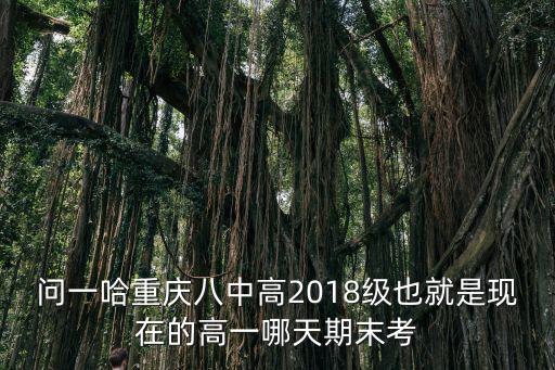 問一哈重慶八中高2018級(jí)也就是現(xiàn)在的高一哪天期末考