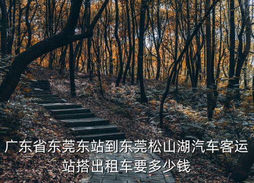 廣東省東莞東站到東莞松山湖汽車客運(yùn)站搭出租車要多少錢