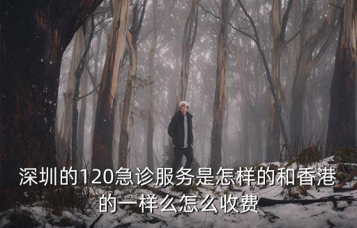 深圳的120急診服務是怎樣的和香港的一樣么怎么收費