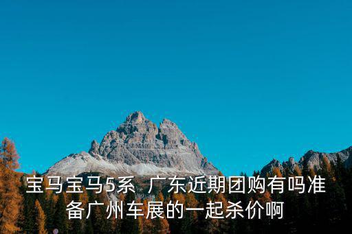寶馬寶馬5系  廣東近期團購有嗎準備廣州車展的一起殺價啊