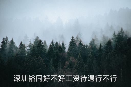 深圳裕同好不好工資待遇行不行