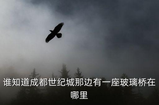 成都市著個玻璃橋在那生，誰知道成都世紀城那邊有一座玻璃橋在哪里