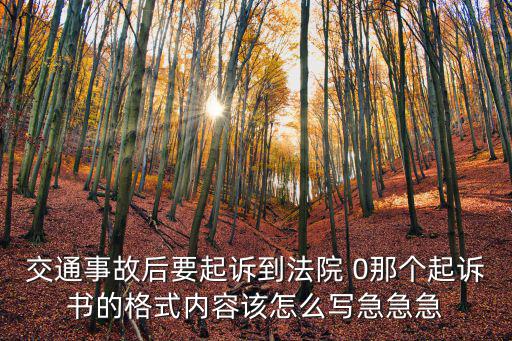 上海市交通事故起訴狀，訴狀交通事故訴狀怎么寫