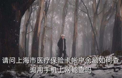 請問上海市醫療保險卡帳戶余額如何查詢用手機上網能查嗎