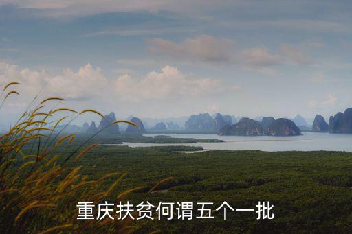 重慶市精準扶貧先進縣區名單，鄖陽區五峰鄉曹家灣精準扶貧及低保名單今年沒有公示出來