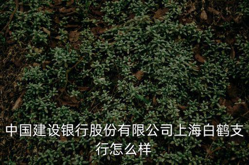 中國建設銀行股份有限公司上海白鶴支行怎么樣