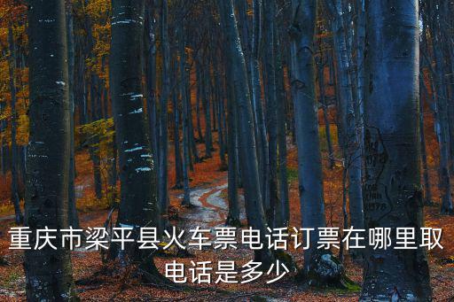 重慶市梁平縣火車票電話訂票在哪里取電話是多少