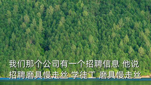 我們那個(gè)公司有一個(gè)招聘信息 他說 招聘磨具慢走絲 學(xué)徒工 磨具慢走絲