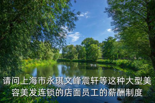 請問上海市永琪文峰震軒等這種大型美容美發連鎖的店面員工的薪酬制度