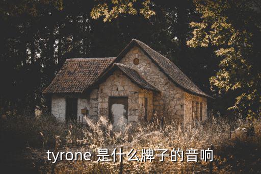 tyrone 是什么牌子的音響