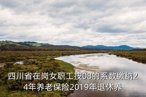 四川省在崗女職工按08的系數繳納24年養老保險2019年退休養