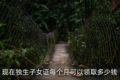 現在獨生子女證每個月可以領取多少錢