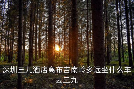 深圳三九酒店離布吉南嶺多遠(yuǎn)坐什么車去三九