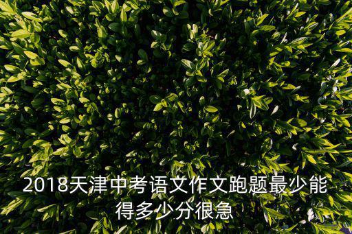 天津市2018中考語文滿分作文，2018天津中考語文作文跑題最少能得多少分很急