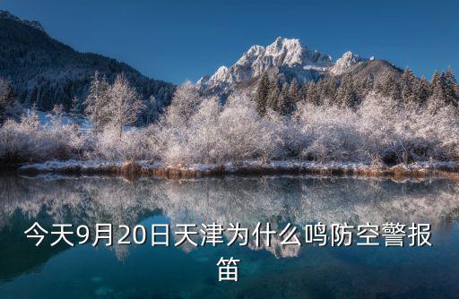 天津市人民防空辦公室張作成，武漢市人大副主任潘漢生是哪人
