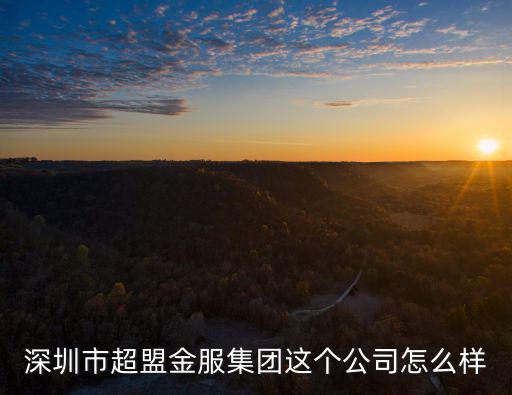 深圳市超盟金服集團這個公司怎么樣