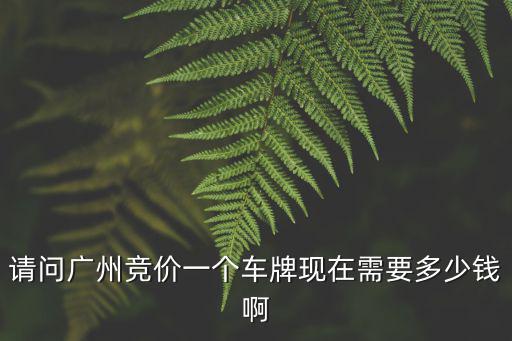 請問廣州競價一個車牌現在需要多少錢啊