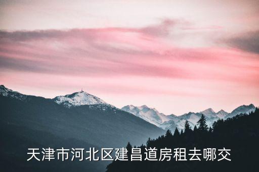 天津市河北區(qū)建昌道商捕出租房，天津河北區(qū)租房