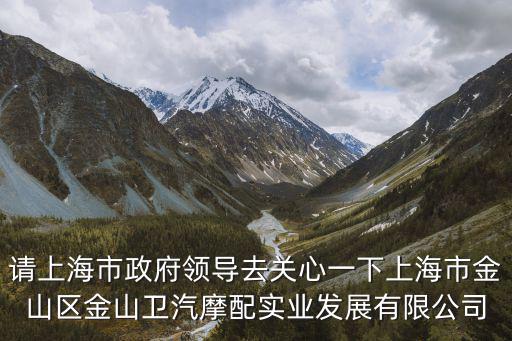 請上海市政府領導去關心一下上海市金山區金山衛汽摩配實業發展有限公司