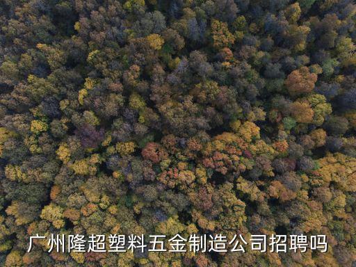 廣州隆超塑料五金制造公司招聘嗎