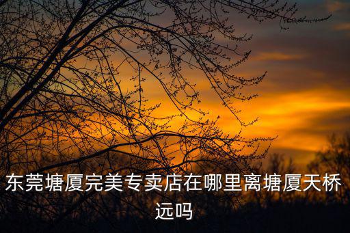 東莞塘廈飛行俠，我和老婆結(jié)婚2年多了沒孩子不知道是誰有問題我們在東莞塘廈