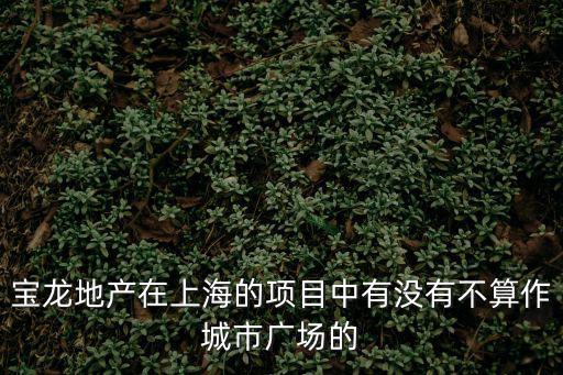 寶龍地產在上海的項目中有沒有不算作城市廣場的