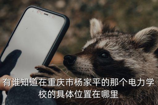 重慶市的楊家平在什么位置，重慶市的楊家平是不是屬于九龍坡區(qū)