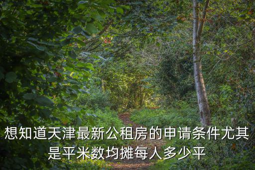 想知道天津最新公租房的申請條件尤其是平米數均攤每人多少平
