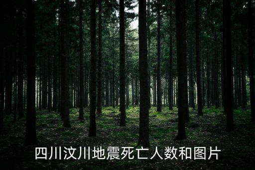 四川汶川地震死亡人數和圖片