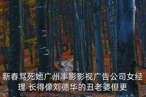 新春罵死她廣州豐影影視廣告公司女經理 長得像劉德華的丑老婆但更