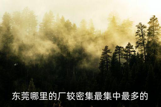東莞市哪里的老廠房多，東莞哪里廠多地址詳細點只要身份證就能進的