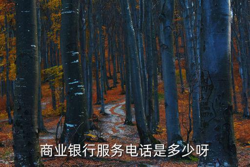 上海市商業銀行有限公司地址電話，商業銀行服務電話是多少呀