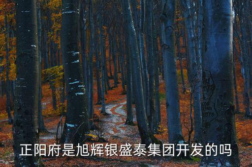 旭輝與東莞盛泰鴻地產(chǎn)的關(guān)系，旭輝以前是做什么行業(yè)的