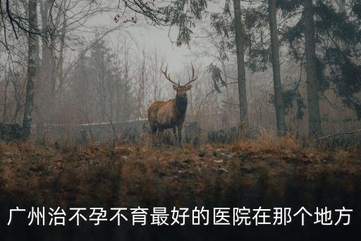 廣州不孕不育哪家醫(yī)院最好的醫(yī)院，廣州有沒有專業(yè)治不孕的醫(yī)院推薦一家比較好的給我啊