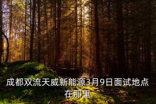 成都雙流天威新能源3月9日面試地點在那里
