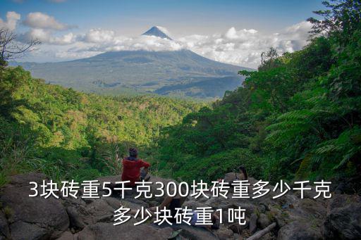 上海市政動遷三塊磚，3塊磚重5千克300塊磚重多少千克多少塊磚重1噸