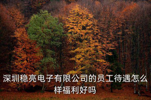 深圳穩亮電子有限公司的員工待遇怎么樣福利好嗎