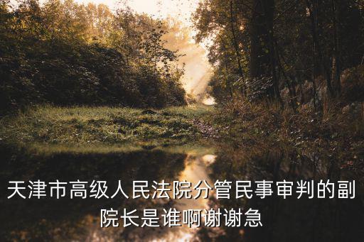 天津市高級人民法院分管民事審判的副院長是誰啊謝謝急