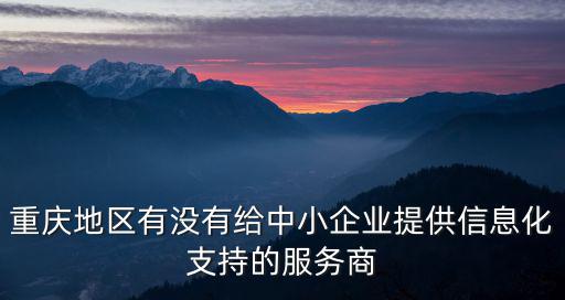 重慶地區有沒有給中小企業提供信息化支持的服務商