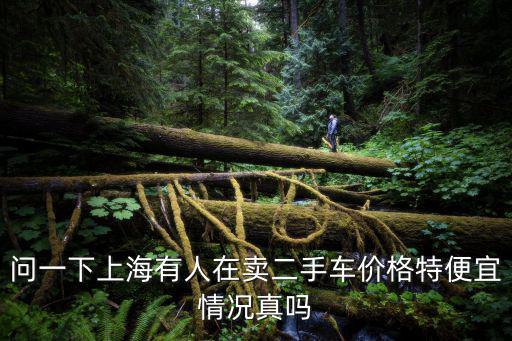 問一下上海有人在賣二手車價格特便宜情況真嗎