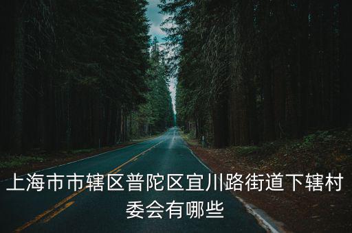 上海市市轄區(qū)普陀區(qū)宜川路街道下轄村委會有哪些