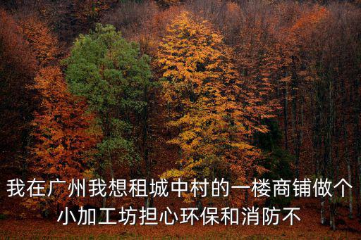 我在廣州我想租城中村的一樓商鋪做個小加工坊擔心環(huán)保和消防不